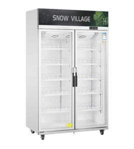 Double Glass Door Upright Display Fridge LC-1000FS