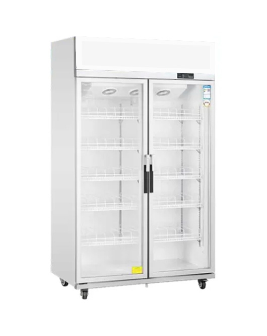 Double Glass Door Upright Display Fridge LC-1200FS